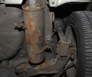 3letnia Tata Indica królowa rdzy