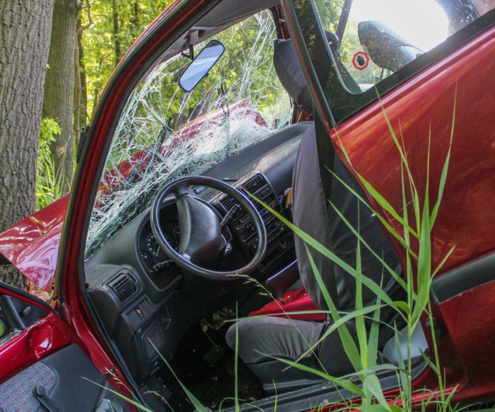 Tragedia na drodze krajowej numer 50! W miejscowości Grębiszew zginęła dwójka dzieci i rodzice