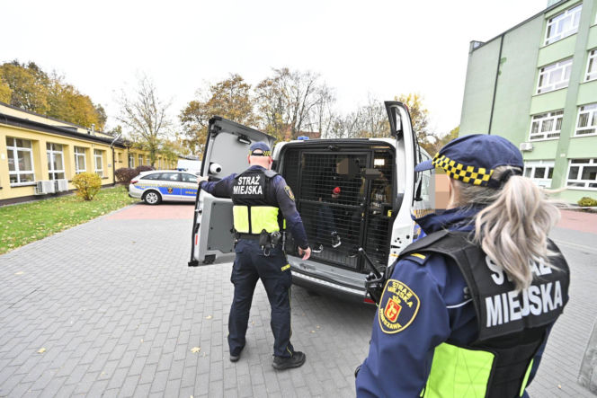Tyle zarabiają strażnicy miejscy w Warszawie. Stawki mogą zaskoczyć