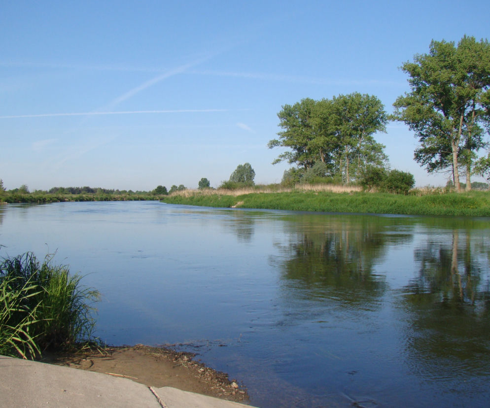 Warta