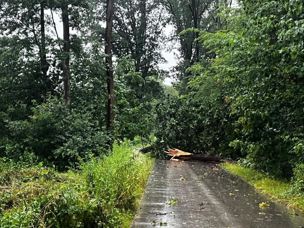 Nawałnice w Małopolsce. Setki interwencji straży pożarnej