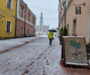 Mamy już pierwszy śnieg w Zamościu! Zobacz zdjęcia [GALERIA]