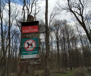 Rozdeptane runo, psy straszą zwierzęta. Rezerwat Las Bielański w opałach