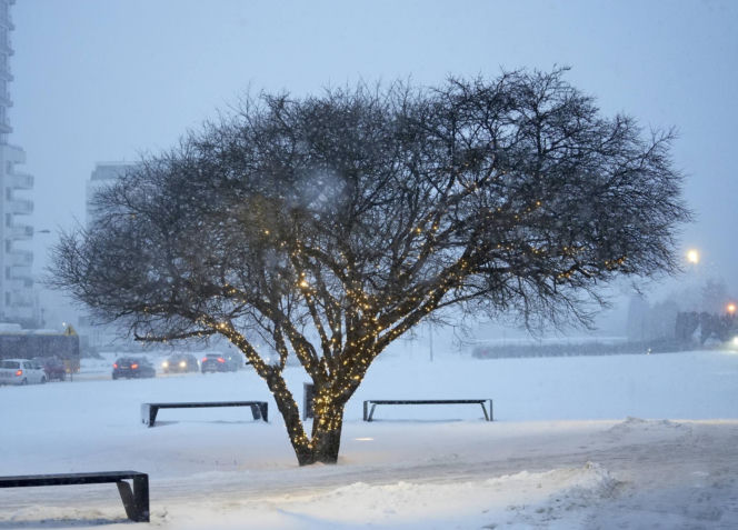 Wróżby pogodowe na rok! Jak dawniej chłopi odczytywali przyszłość z dnia św. Łucji