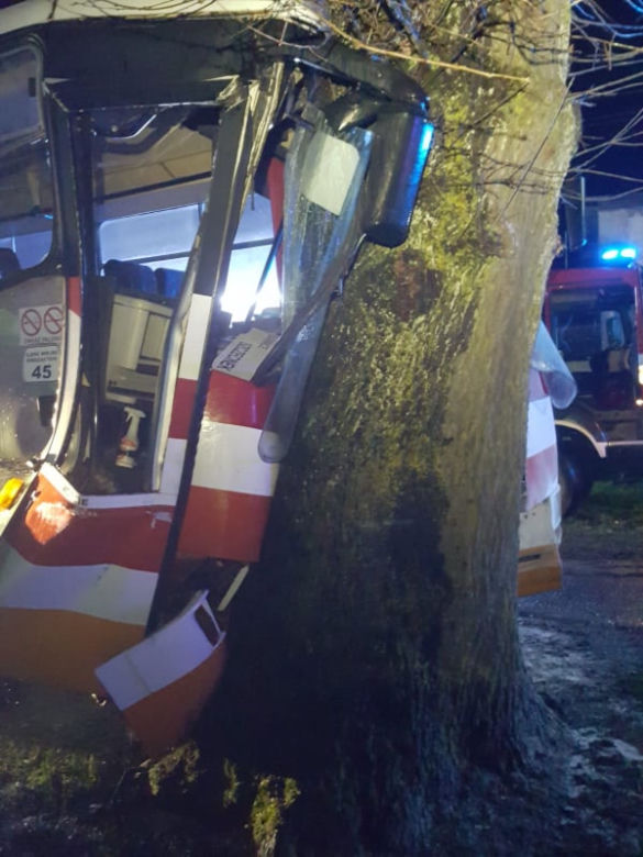 Autobus z dziećmi uderzył w drzewo! Są ranni. Dramat w Trzebiechowie [GALERIA]