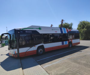 Naprądek i jego koledzy wyjadą jutro na drogi - Miasto odebrało elektryczne autobusy