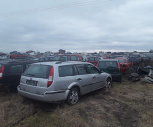 Na posesji pod Płońskiem miał 300 aut! Teraz ma na karku policję, KAS i WIOŚ [ZDJĘCIA]