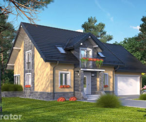 Projekt C338a Śródleśny - wariant I (podpiwniczony)