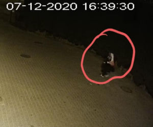 Ukradł dzieciom święta. Przedszkolaki apelują: Złodzieju oddaj Mikołaja i Bałwanka [FOTO]