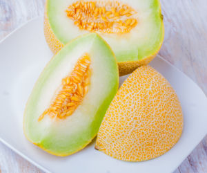 Melon galia