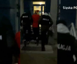 Pseudokibic z Rybnika zatrzymany! Miał narkotyki i własną plantację marihuany [ZDJĘCIA]