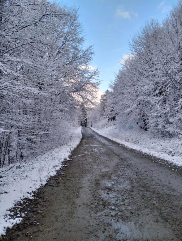 Zima w Bieszczadach