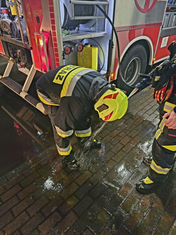 Grębocice. Pies uratował swojego właściciela przed pożarem [ZDJĘCIA]