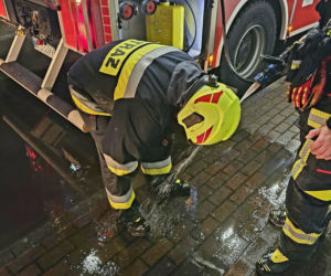 Grębocice. Pies uratował swojego właściciela przed pożarem [ZDJĘCIA]