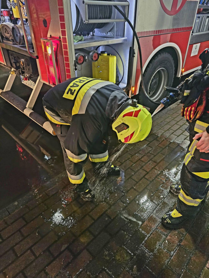 Grębocice. Pies uratował swojego właściciela przed pożarem [ZDJĘCIA]