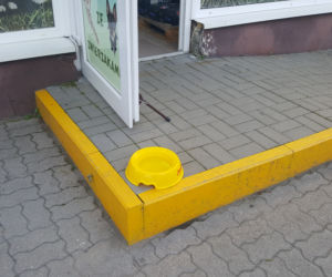 W tych miejscach w Bydgoszczy sprzedawcy kochają zwierzęta