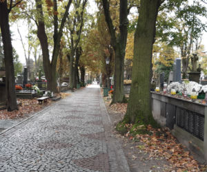 Zbiórka na rzecz zabytkowych pomników na Starym Cmentarzu