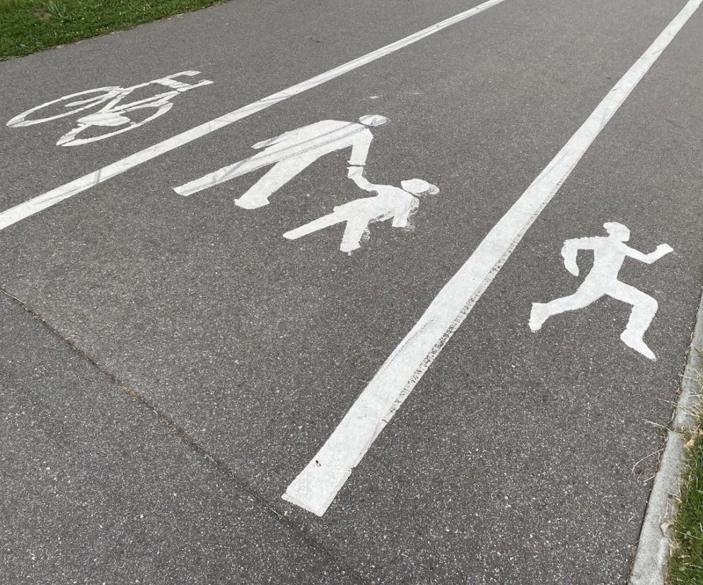 Czy Świniarsko i Nowy Sącz połączy ścieżka rowerowa?  Jest taki plan!