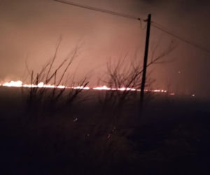 NIE ŻYJE kobieta poparzona w pożarze traw! Seryjne podpalenia na Sądecczyźnie!