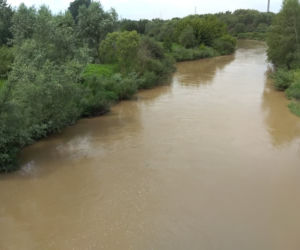 Sytuacja hydrologiczna w Tarnowie. Czy grozi nam powódź?