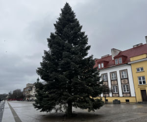 Wielki choinka stanęła na Rynku Kościuszki
