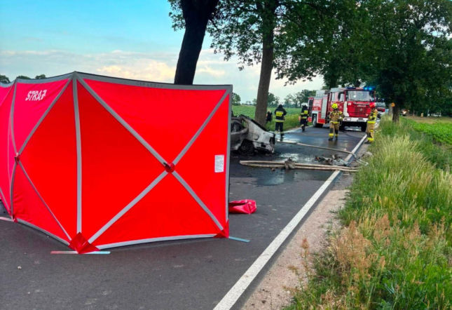 Tragedia na drodze pod Toruniem! W spalonym samochodzie policjanci znaleźli ciało