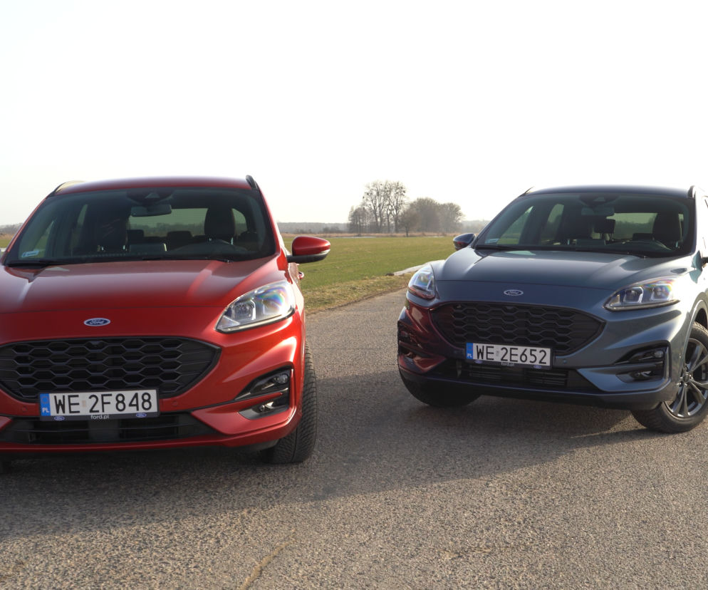 Ford Kuga - diesel czy benzyna?