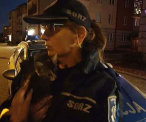Wyrzuciła kota do kontenera na śmieci 