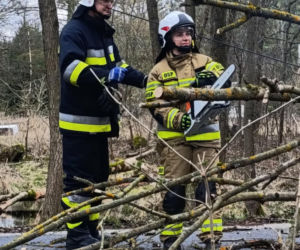 Interwencje Strażaków przy likwidacji szkód spowodowanych przez gwałtowny wiatr i burze