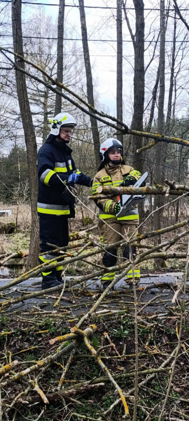 Interwencje Strażaków przy likwidacji szkód spowodowanych przez gwałtowny wiatr i burze