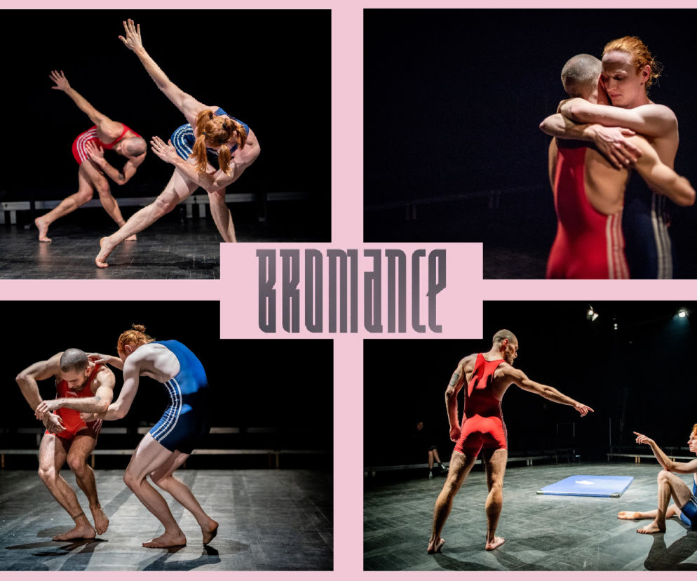 Bromance - plakat1