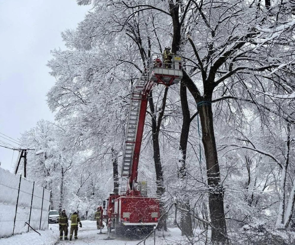 Odwołane lekcje na Podkarpaciu. Wiele szkół bez prądu i ogrzewania 