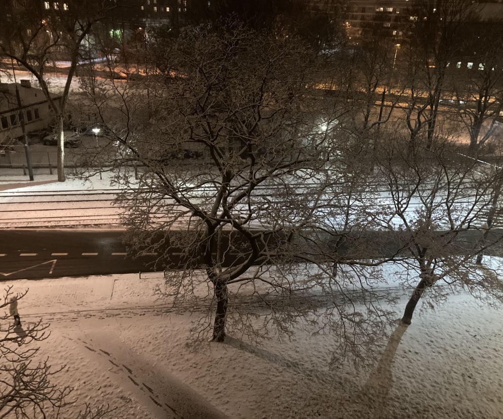 Warszawa pod śniegiem. Szykuje się powrót zimy w stolicy? [ZDJĘCIA] 