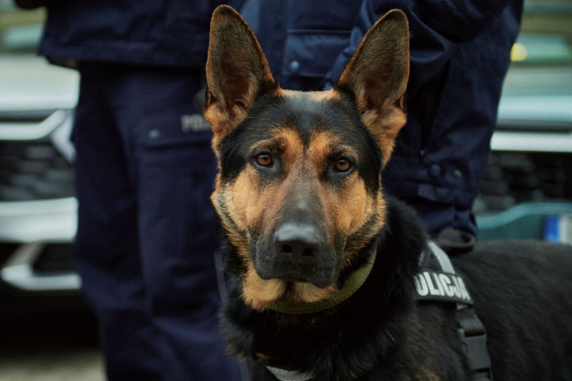 Łódzcy policjanci otrzymali nowe nieoznakowane radiowozy