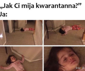 Memy o kwarantannie