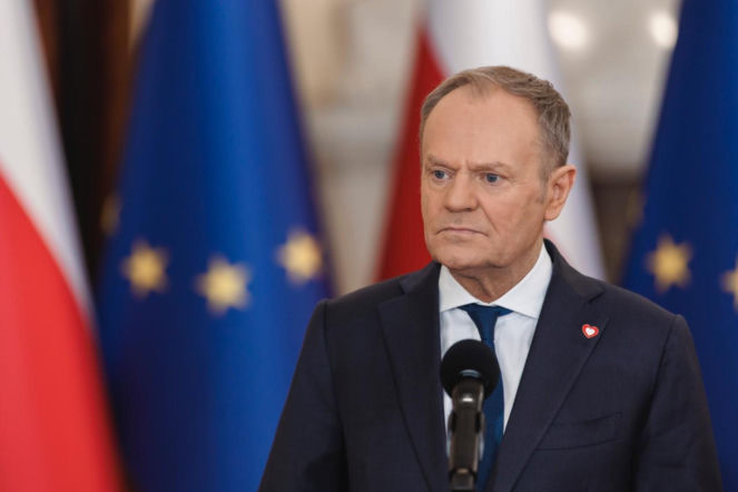 Nowe prawo uderzy w właścicieli psów i kotów