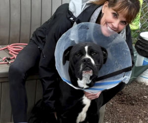 Gwiazda Słoneczego Patrolu aresztowana! Nie zgadniesz, co zrobiła