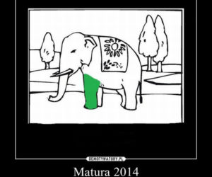 MEMY maturalne