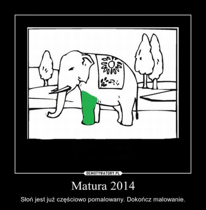 MEMY maturalne