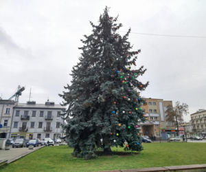 Choinka miejska Siedlce