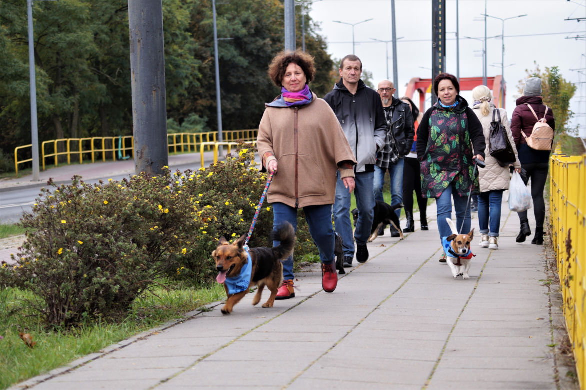 Parada Psów Adoptowanych w Bydgoszczy 2022 [ZDJĘCIA]