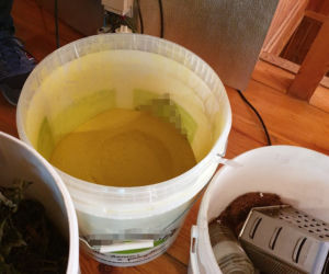 Dwaj bydgoszczanie zatrzymani za związek z narkotykami. Mundurowi zabezpieczyli blisko 5 kg MDMA! [ZDJĘCIA]
