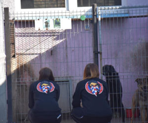 Torcida Girls