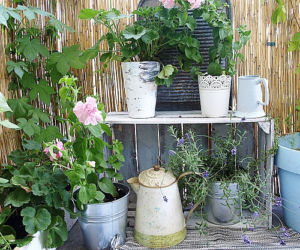 Balkon wschodni w bloku zdjecie nr 1
