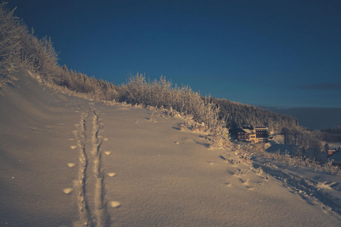 Sezon narciarski wystartował w Zieleńcu na dobre