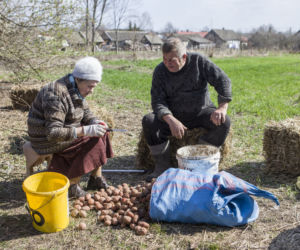 Rolnicy. Podlasie odcinek 15. Premiera w niedzielę 20 czerwca
