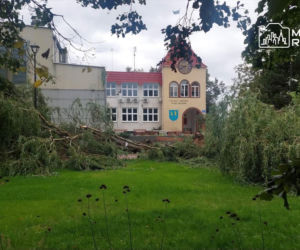 Potworne skutki wichury w Warszawie