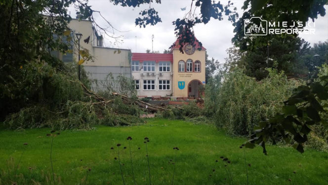 Potworne skutki wichury w Warszawie