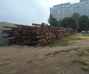 Wzdłuż parkingu Centrum Handlowego Arena wyrosną drzewa