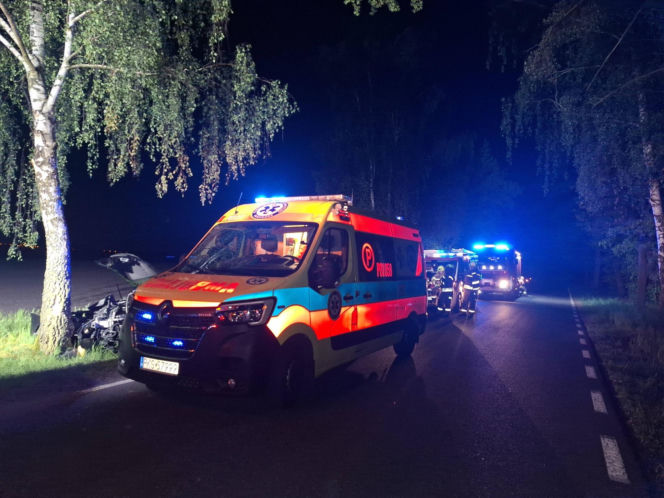 Kościaniak uderzył autem w drzewo. Chciał uniknąć zderzenia z sarną [ZDJĘCIA]